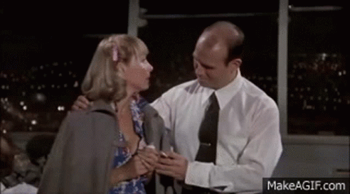 Bad Joke Airplane GIF