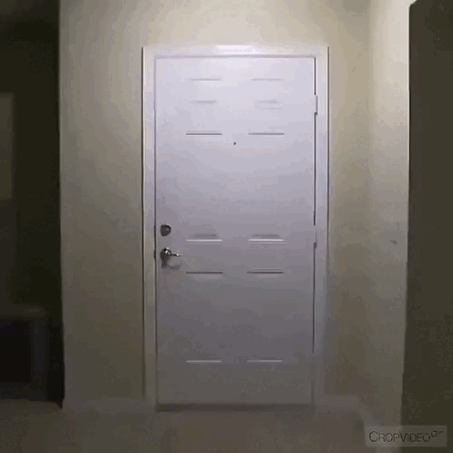 Badger Hollow Sheeb GIF