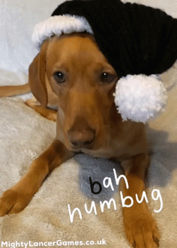 Bah Humbug Bah Humbug Gif GIF