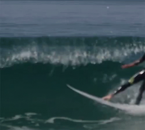 Bail Wipe Out GIF