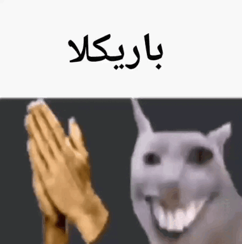 Bakra Good Job GIF