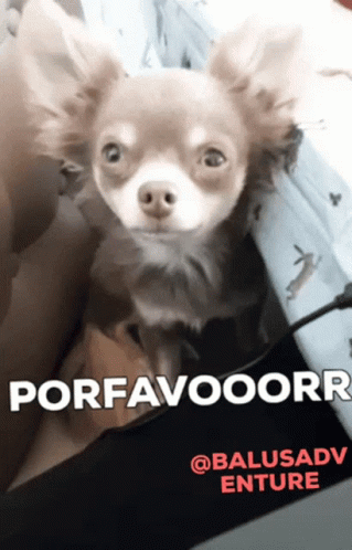Balù Porfavor GIF