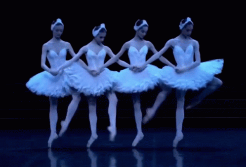 Ballerina Ballet GIF