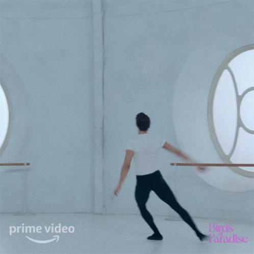 Ballet Dance Sasha GIF