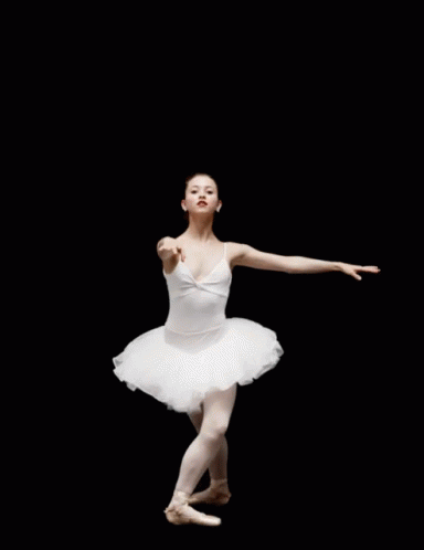 Ballet Dancer GIF