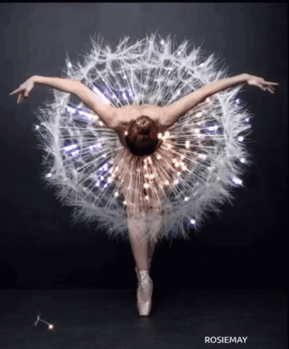 Ballet GIF