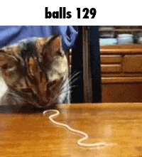 Balls 129 GIF