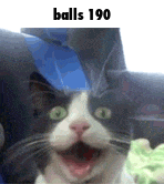 Balls 190 GIF