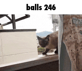 Balls 246 GIF