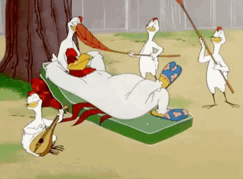 Balthazar Poulet GIF