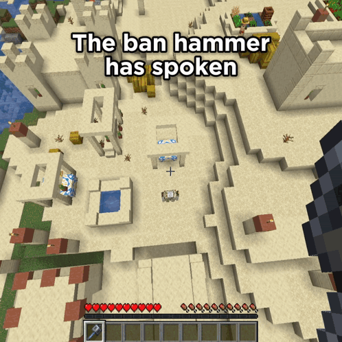Ban The Ban Hammer GIF