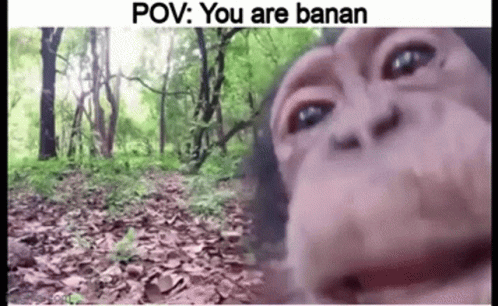 Banana Monke GIF