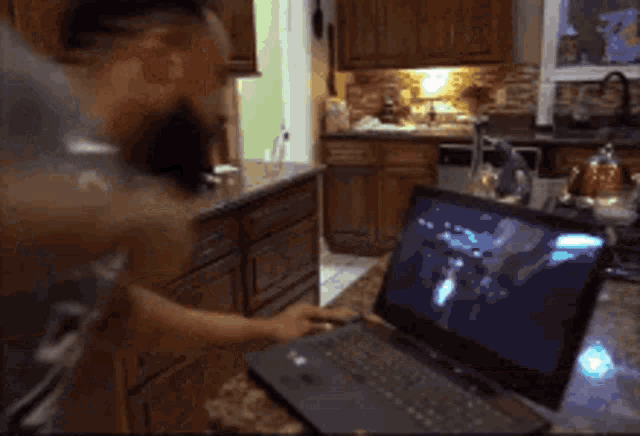 Bariai GIF