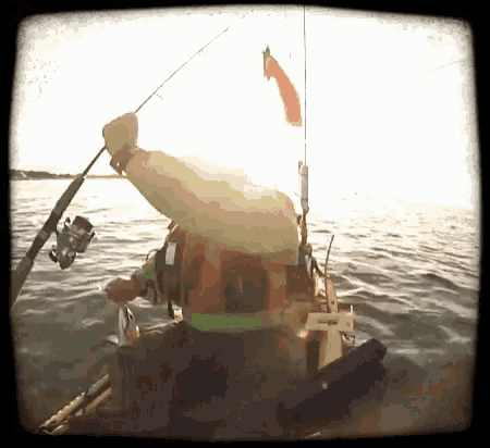 Bass Mayhem GIF