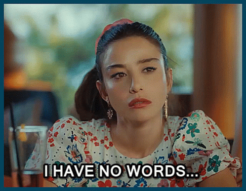 Bay Yanlis Ozge Gurel GIF