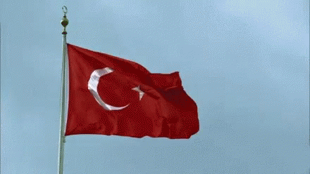 Bayrak Turkbayragi GIF