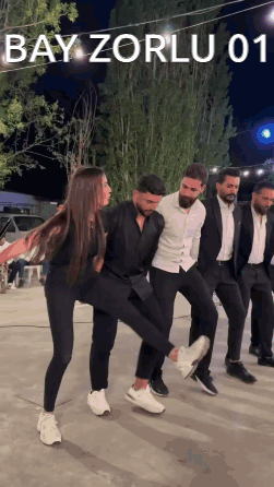 Bayzorlu01 Kürçe Halay GIF