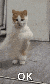 Be Happy GIF