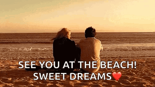 Beach Ocean GIF