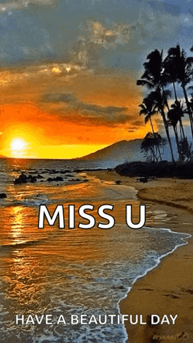 Beach Ocean GIF
