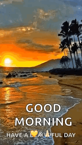 Beach Ocean GIF