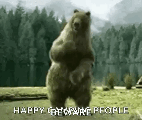 Bear Dance GIF