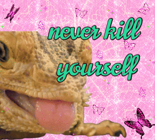 Bearded Dragon Beardie GIF
