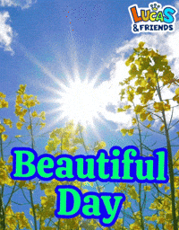 Beautiful Day GIF