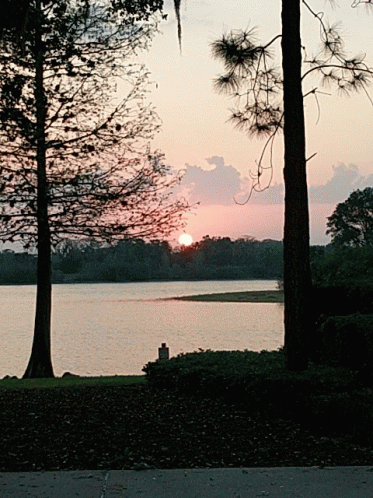 Beautiful Day GIF