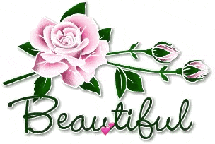 Beautiful Flower GIF