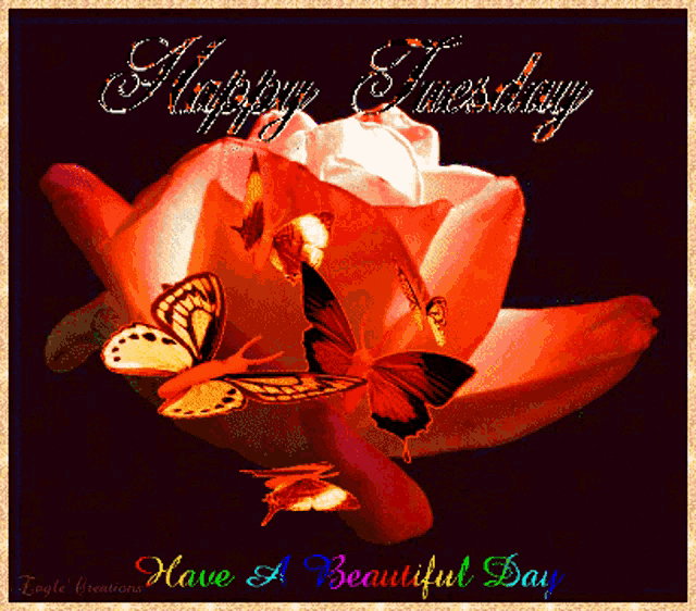 Beautiful Flower GIF