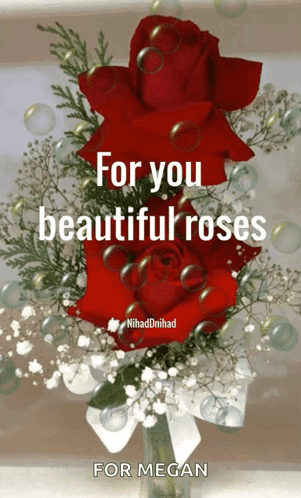 Beautiful Roses GIF