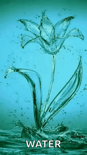 Beauty Love GIF