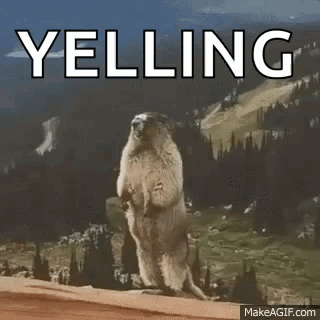 Beaver Yelling GIF