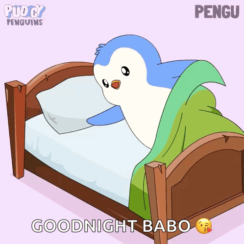 Bed Bedtime GIF