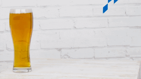 Beers GIF