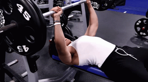 Bench Press Adam GIF