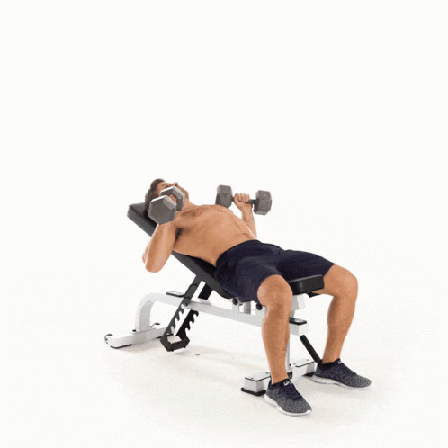 Bench Press Regular Bench Press GIF