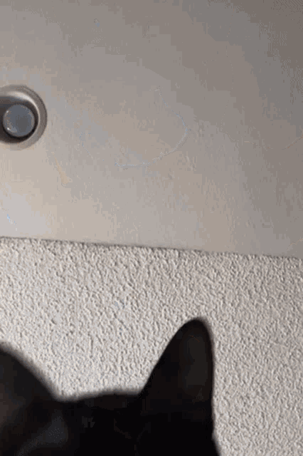 Benny Bennymylove GIF