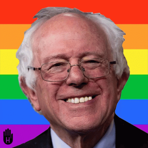 Bernie Sanders Feel The Bern GIF