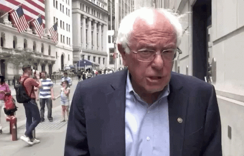 Bernie Sanders GIF
