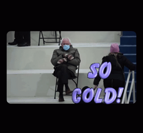 Berniesanders Bernie GIF