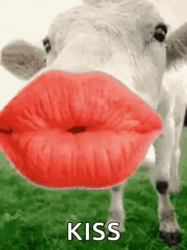 Besitos Besos GIF