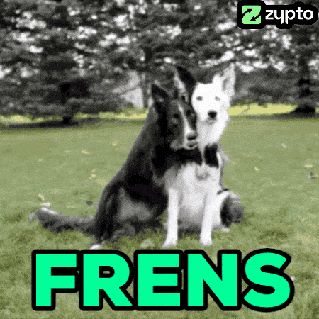 Bff Border Collie GIF