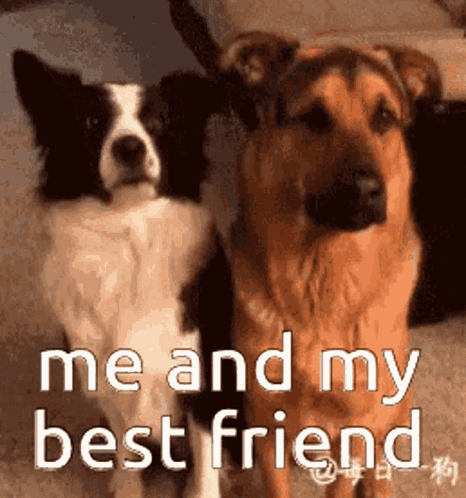 Bff GIF