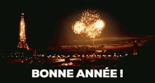 Bienvenue 2022 GIF