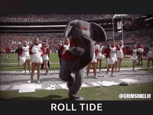 Big Al GIF