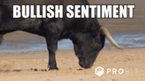 Big Dude GIF