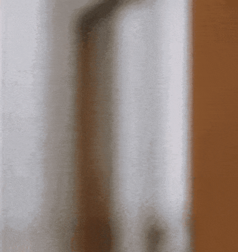Billy Billy Dollar GIF