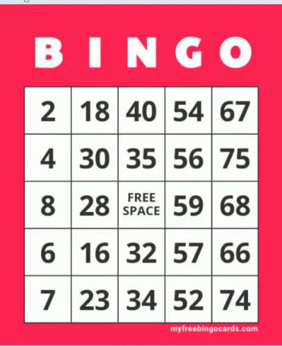 Bingo Bingo Pog GIF
